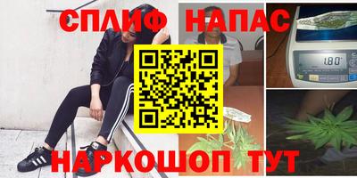 твердый Славгород