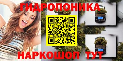 твердый Славгород