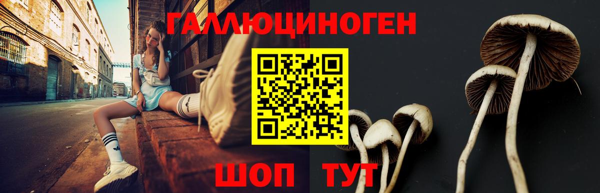 Галлюциногенные грибы ЛСД Мариинск